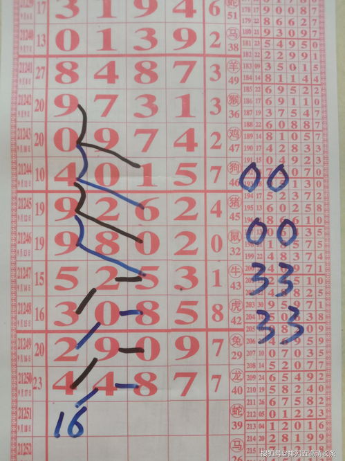 21251期排列5走勢簡析與數字文化的趣味聯想